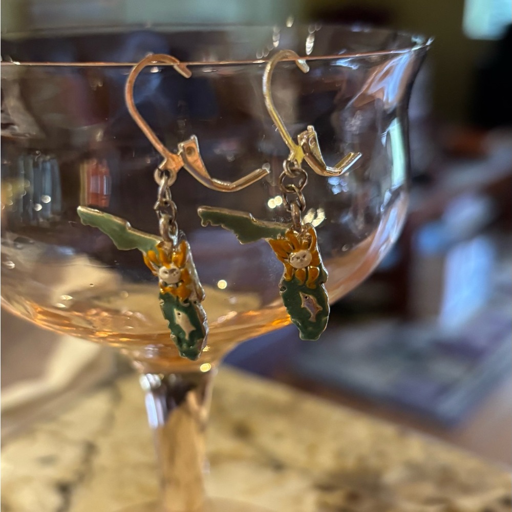 Green Map of Florida Drop Earrings